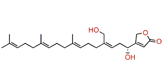 Hippolide C